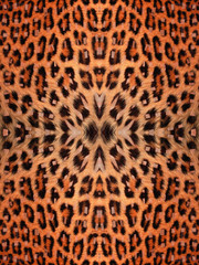 Leopard Fur Pattern