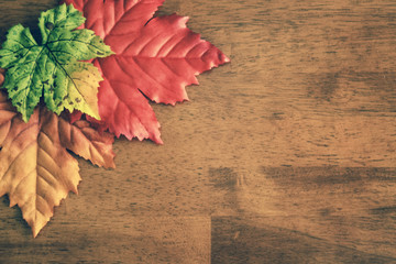 Aerial Autumn Leaves Table