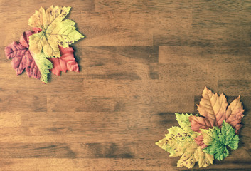 Aerial Autumn Leaves Table