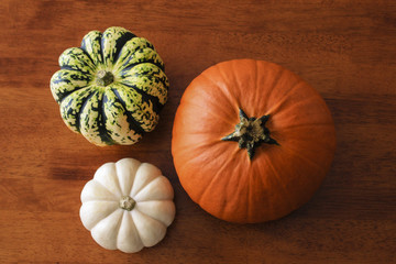 Aerial Pumpkin Table