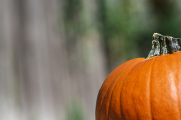 Pumpkin Macro