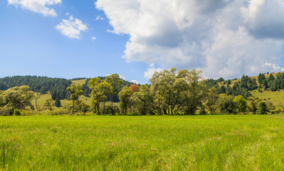 Meadow and cloudy sky