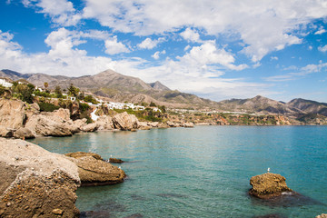 Fototapeta premium The coastline