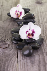 Fototapeta na wymiar White Moth Orchids and black stones on weathered deck
