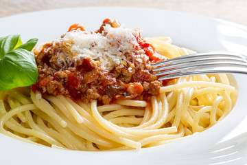 Spaghetti mit Bolognese Soße Parmesan und Basilikum