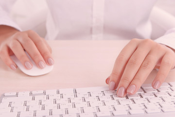 Fototapeta na wymiar Female hands typing on keyboard on light background