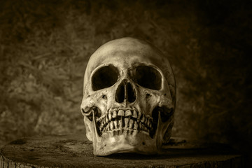 Still Life with a Skull.