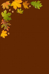 A frame made with autumn leaves isolated on brown background