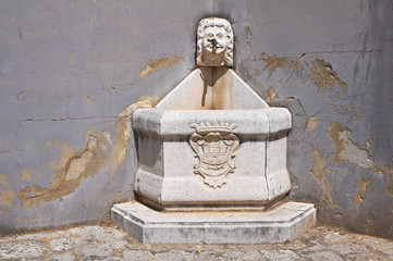 Monumental fountain. Brienza. Italy.