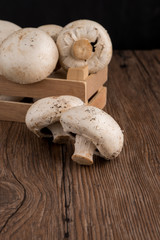 Champignons in a wooden box
