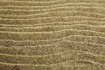 Sea sand texture