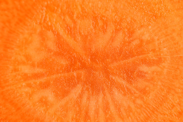 Close up of carrot (macro)