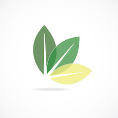 leaf icon vector
