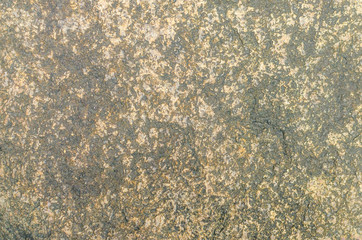 High Quality Surface Stone  Texture and background