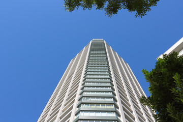 高層ビル・青空