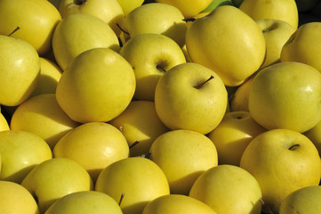 Yellow apples