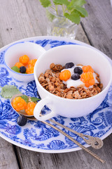 bowl of muesli and yogurt with fresh berries