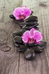 Fototapeta na wymiar Fuchsia Moth Orchids and black stones on weathered deck