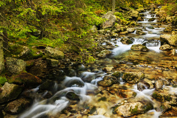 Obraz premium Roztoka Valley, Tatra Mountain, Poland