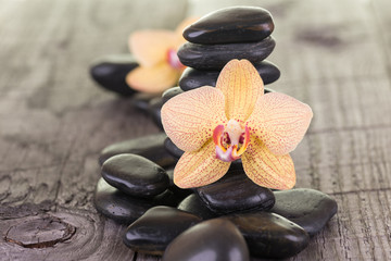 Naklejka na ściany i meble Yellow Moth Orchids and black stones on weathered deck