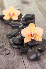 Fototapeta na wymiar Yellow Moth Orchids and black stones on weathered deck