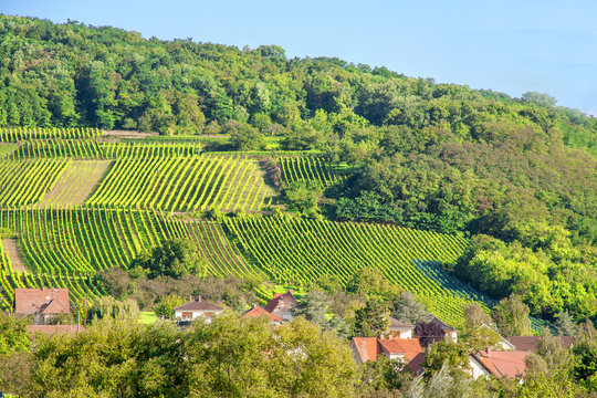 Wangen, village de la Route de Vins en Alsace, Bas Rhin