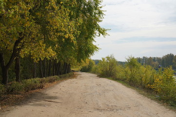 грунтовая дорога
