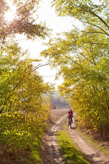 Obraz premium Woman riding a mountain bike on a forest road