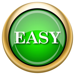 Easy icon