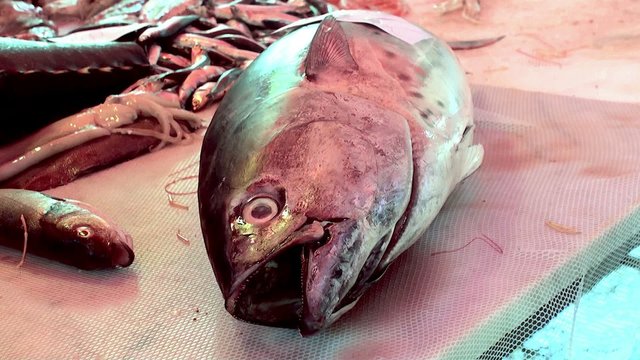 Big tuna at the Catania fish market. Sicily