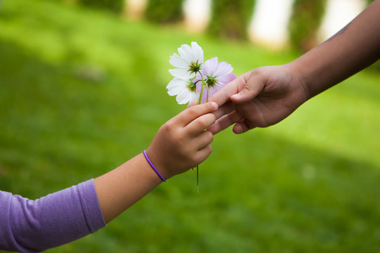 Child's Hand Giving Flowers To Her Friend