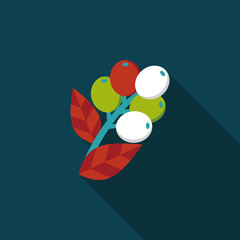 coffee fruit flat icon with long shadow,eps10