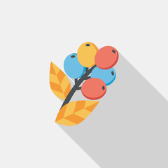coffee fruit flat icon with long shadow,eps10