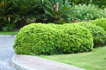 Beautiful landscaping at park