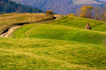 field in mountains  near home