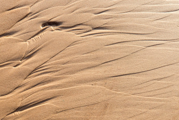 Wet sand texture