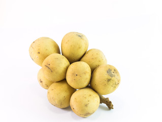 Wollongong on white background