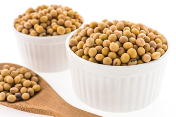 Soybean isolated on white background