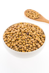 Soybean isolated on white background