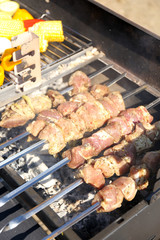 Skewers and vegetableq on barbecue grill, close-up