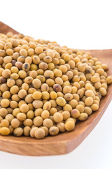 Soybean isolated on white background