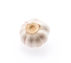 Garlic isolated on white