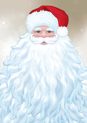 Vector of Santa  Claus with big beard.