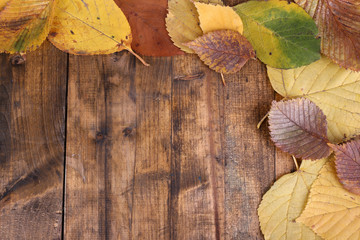Yellow leaves on brown wooden background