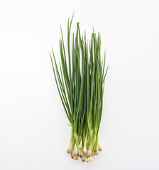 spring onion isolated on white background