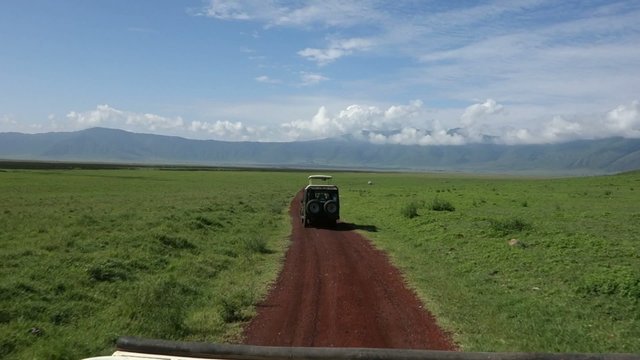 Drive Tanzani Serengeti