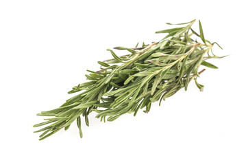Rosemary isolated on white background