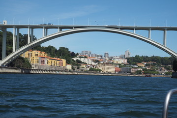 Obraz premium OLYMPUS DIGITAL CAMERA