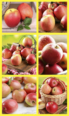 Collage of apples