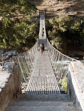 rope hanging suspension bridge with cows - Nepal